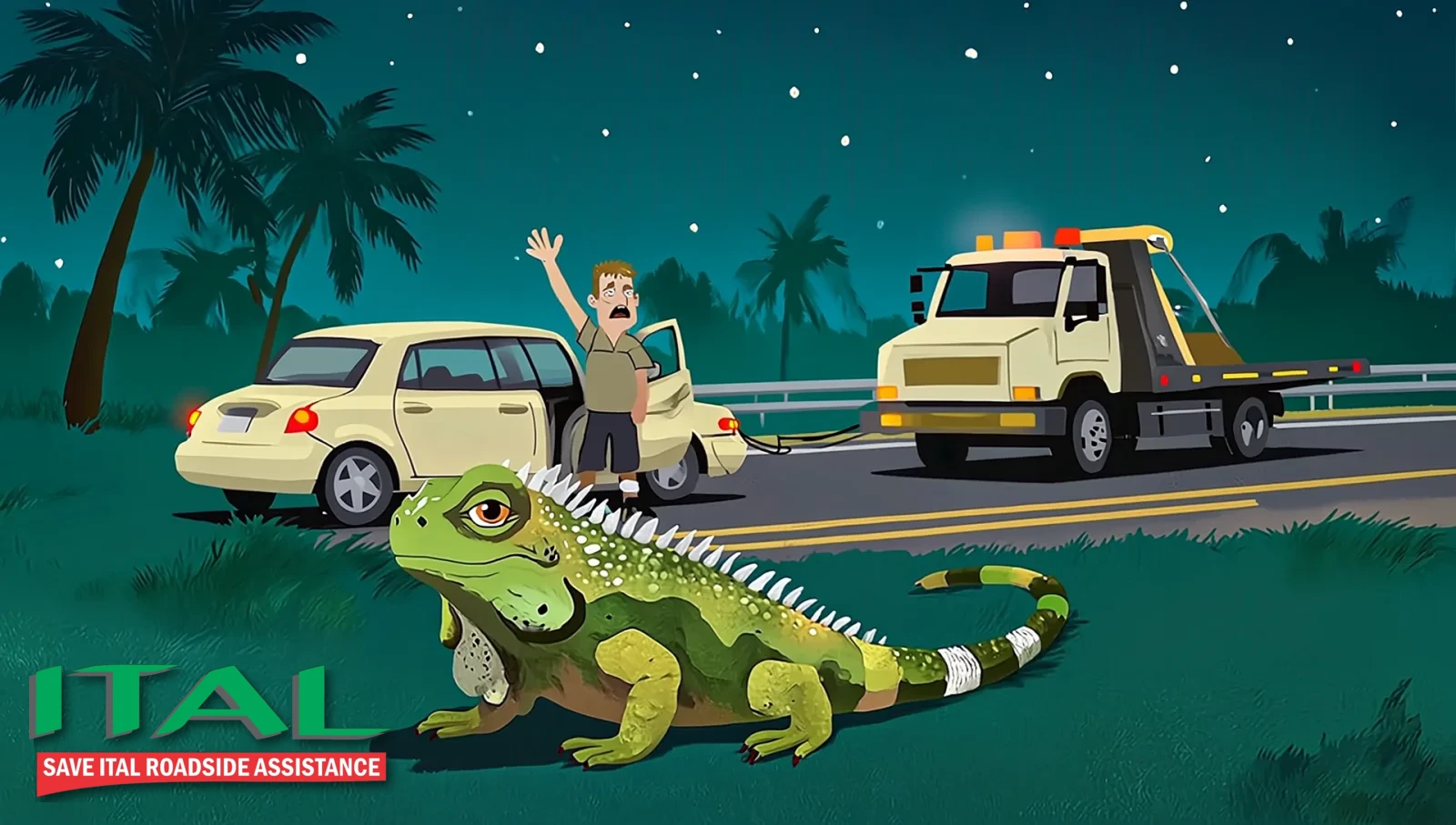 Nighttime Palm Beach County roadside: a stranded driver waves for help while a Save Ital flatbed tow truck arrives, and Iggy, a big Florida iguana, lounges in the foreground doing nothing.